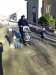 IMG-20210306-WA0002